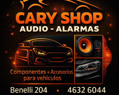 AUDIO-Y-ALARMAS-CARY-SHOP
